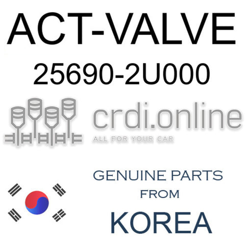 ACT-VALVE 25690-2U000 256902U000 25690 2U000