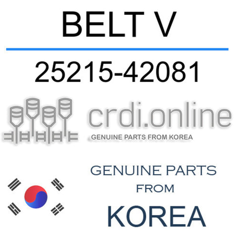 BELT V 25215-42081 2521542081 25215 42081
