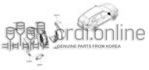 OUTSIDE MIRROR - BODY RH 96303-2273R 963032273R 96303 2273R