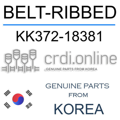 BELT-RIBBED KK372-18381 KK37218381 KK372 18381