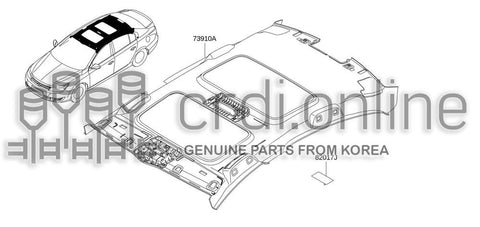 HEADLINING ASSY-ROOF 73910-7205R 739107205R 73910 7205R
