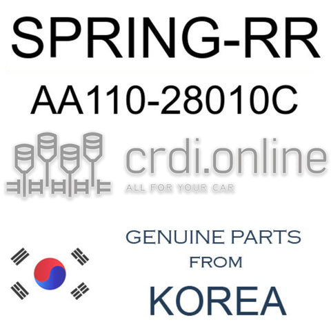 SPRING-RR [ORIGINAL] AA110-28010C AA11028010C AA110 28010C