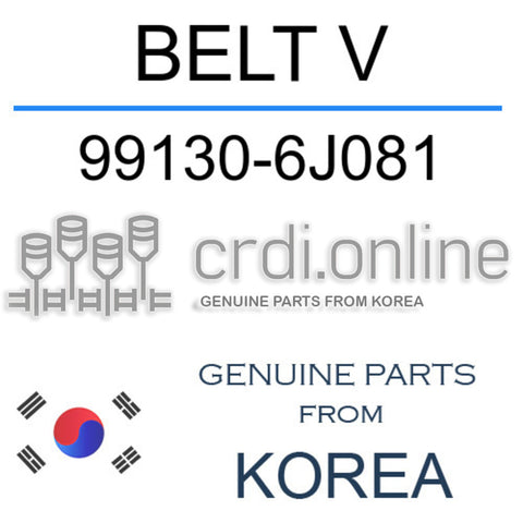 BELT V 99130-6J081 991306J081 99130 6J081
