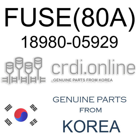FUSE(80A) 18980-05929 1898005929 18980 05929