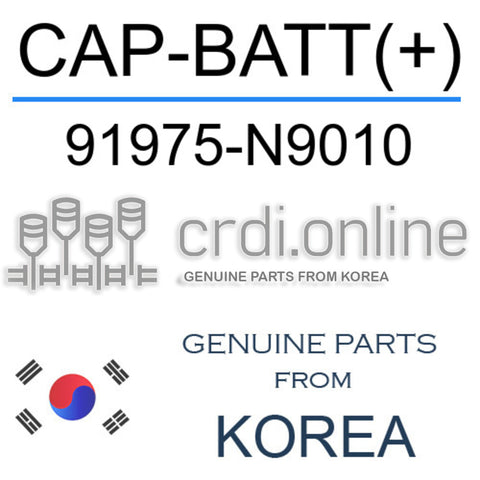 [ORIGINAL] CAP-BATT(+) 91975-N9010 91975N9010 91975 N9010