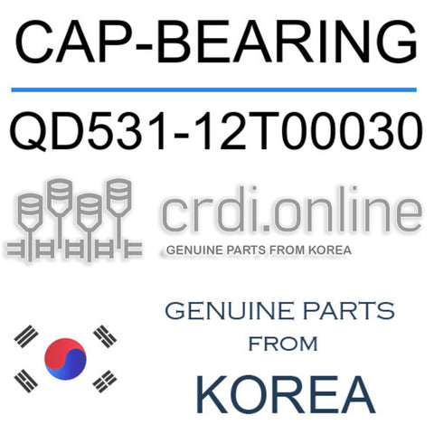 CAP-BEARING [ORIGINAL] QD531-12T00030 QD53112T00030 QD531 12T00030