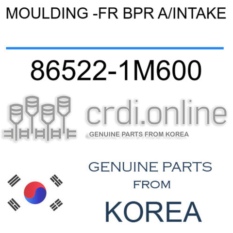 MOULDING -FR BPR A/INTAKE 86522-1M600 865221M600 86522 1M600