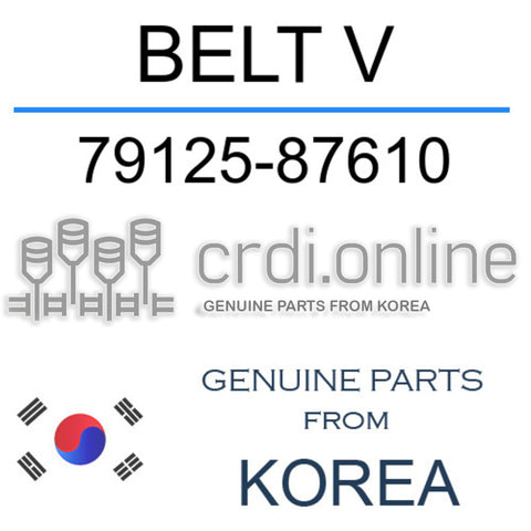 BELT V 79125-87610 7912587610 79125 87610