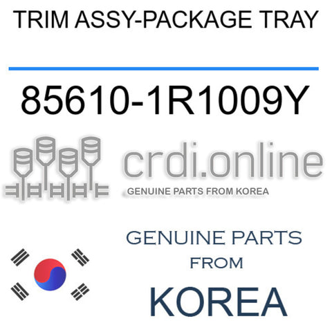 TRIM ASSY-PACKAGE TRAY [ORIGINAL] 85610-1R1009Y 856101R1009Y 85610 1R1009Y