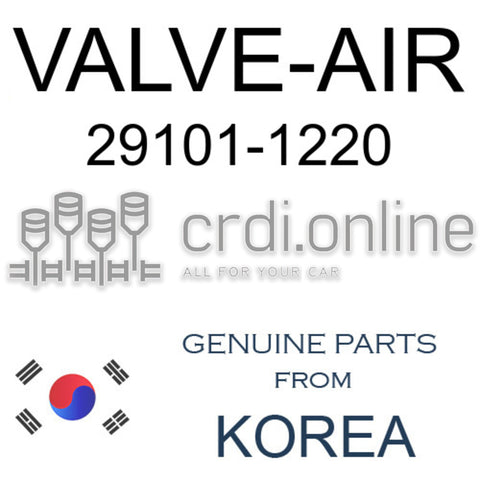 VALVE-AIR 29101-1220 291011220 29101 1220