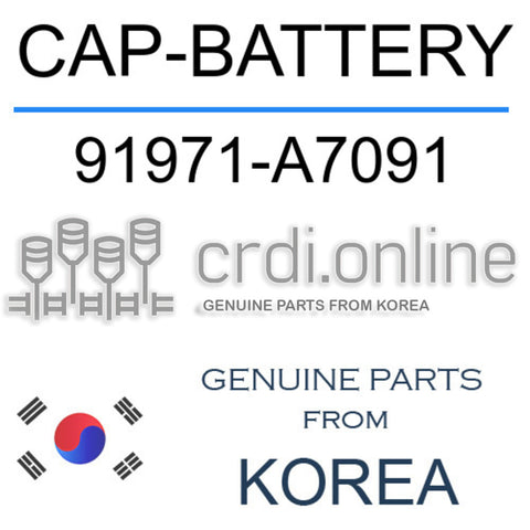 CAP-BATTERY 91971-A7091 91971A7091 91971 A7091