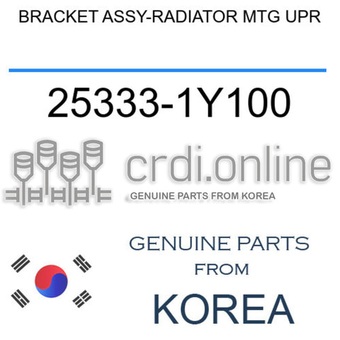 BRACKET ASSY-RADIATOR MTG UPR 25333-1Y100 253331Y100 25333 1Y100