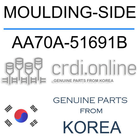 MOULDING-SIDE AA70A-51691B AA70A51691B AA70A 51691B