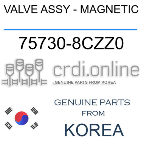 VALVE ASSY - MAGNETIC [ORIGINAL] 75730-8CZZ0 757308CZZ0 75730 8CZZ0