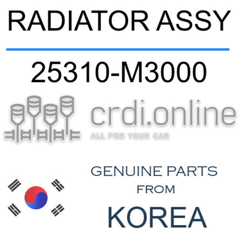RADIATOR ASSY [ORIGINAL] 25310-M3000 25310M3000 25310 M3000