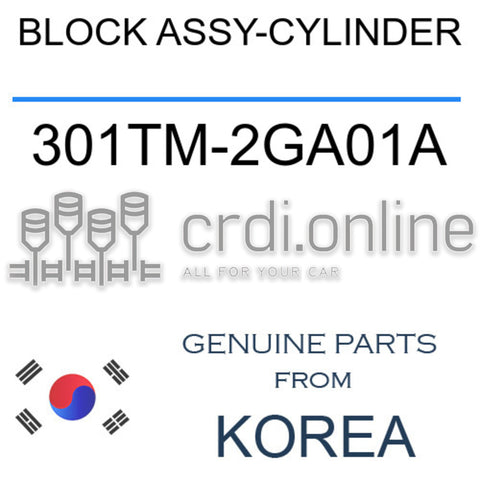 BLOCK ASSY-CYLINDER 301TM-2GA01A 301TM2GA01A 301TM 2GA01A