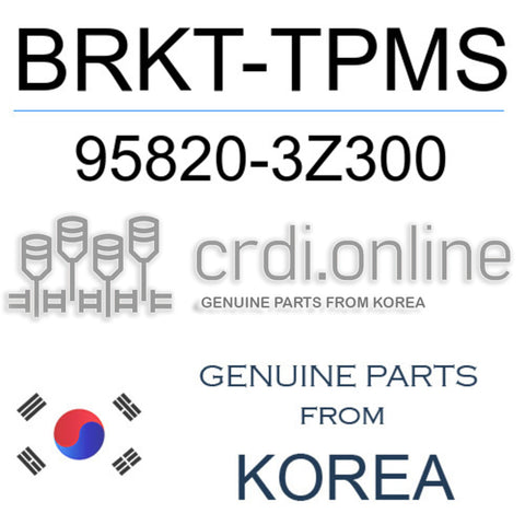 BRKT-TPMS 95820-3Z300 958203Z300 95820 3Z300