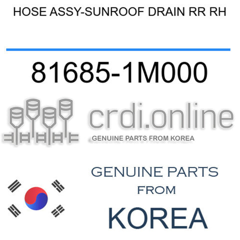 HOSE ASSY-SUNROOF DRAIN RR RH 81685-1M000 816851M000 81685 1M000