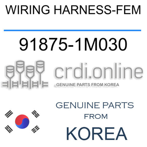 WIRING HARNESS-FEM 91875-1M030 918751M030 91875 1M030