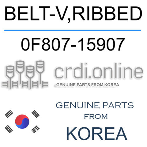 BELT-V,RIBBED 0F807-15907 0F80715907 0F807 15907