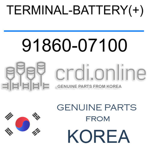 TERMINAL-BATTERY(+) 91860-07100 9186007100 91860 07100