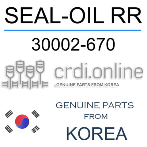 SEAL-OIL RR [ORIGINAL] 30002-670 30002670 30002 670