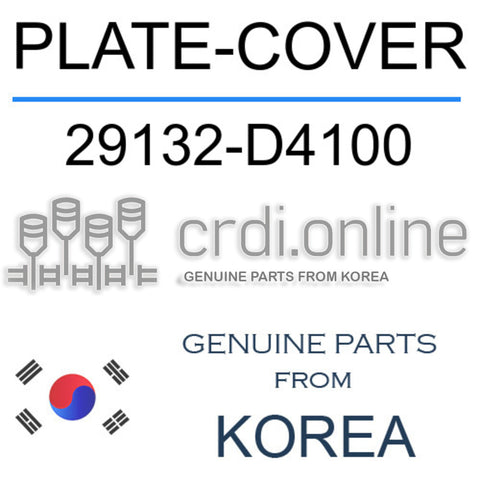 PLATE-COVER [ORIGINAL] 29132-D4100 29132D4100 29132 D4100