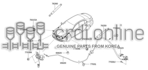 LEVER-HOOD OPEN [ORIGINAL] 65623-0008R 656230008R 65623 0008R